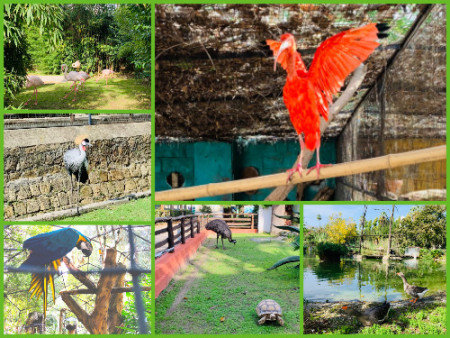 024 Bards at Napoli zoo